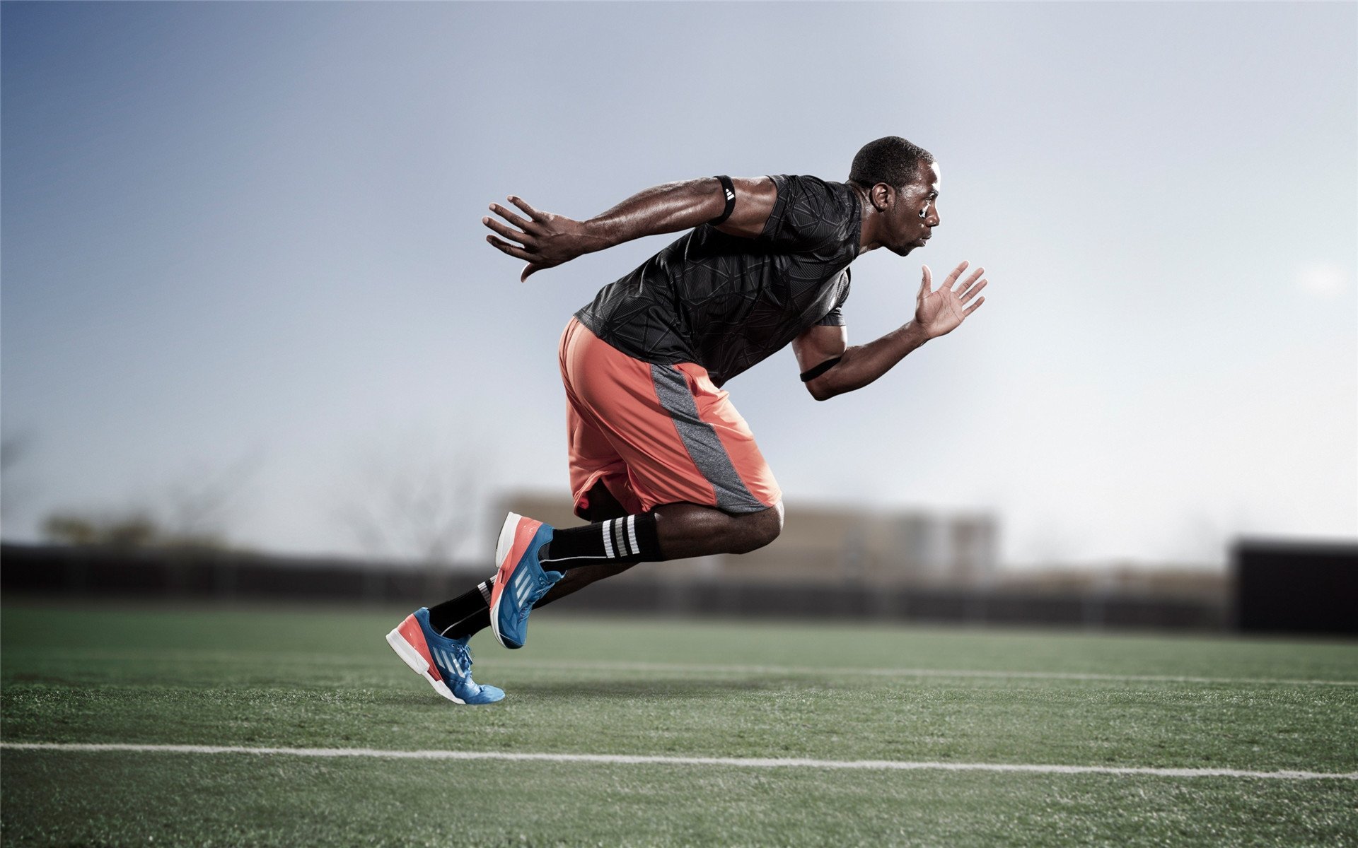 赛道风云，塞恩斯神勇领航，索伯车队力压梅赛德斯